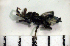  ( - CCDB-06303-H08)  @12 [ ] Copyright  Y. Alekseenko 2011 Unspecified