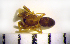  ( - CCDB-12175-A06)  @12 [ ] Copyright  Y. Alekseenko 2011 Unspecified
