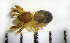  ( - CCDB-12175-A11)  @12 [ ] Copyright  Y. Alekseenko 2011 Unspecified
