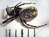 ( - CCDB-12175-B02)  @12 [ ] Copyright  Y. Alekseenko 2011 Unspecified