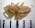  ( - CCDB-12175-D08)  @12 [ ] Copyright  Y. Alekseenko 2011 Unspecified