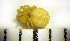  ( - CCDB-12175-F08)  @12 [ ] Copyright  Y. Alekseenko 2011 Unspecified
