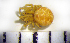  ( - CCDB-12175-F09)  @12 [ ] Copyright  Y. Alekseenko 2011 Unspecified