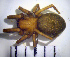  ( - CCDB-12175-G08)  @13 [ ] Copyright  Y. Alekseenko 2011 Unspecified