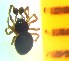  ( - II-EL-21)  @12 [ ] Unspecified (default): All Rights Reserved  Unspecified Unspecified