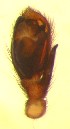  ( - II-EL-28)  @12 [ ] Unspecified (default): All Rights Reserved  Unspecified Unspecified