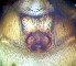  ( - II-EL-30)  @12 [ ] Unspecified (default): All Rights Reserved  Unspecified Unspecified
