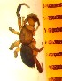  ( - II-EL-31)  @12 [ ] Unspecified (default): All Rights Reserved  Unspecified Unspecified