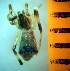  ( - II-EL-73)  @12 [ ] Unspecified (default): All Rights Reserved  Unspecified Unspecified