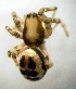  ( - CCDB-12174-A05)  @12 [ ] Copyright  E. Kuzmin 2011 Unspecified
