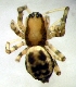  ( - CCDB-12174-A06)  @12 [ ] Copyright  E. Kuzmin 2011 Unspecified