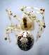  ( - CCDB-12174-A08)  @12 [ ] Copyright  E. Kuzmin 2011 Unspecified