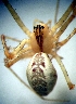  ( - CCDB-12174-B07)  @12 [ ] Copyright  E. Kuzmin 2011 Unspecified