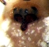  ( - CCDB-12174-B07)  @12 [ ] Copyright  E. Kuzmin 2011 Unspecified