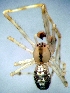  ( - CCDB-12174-B08)  @12 [ ] Copyright  E. Kuzmin 2011 Unspecified