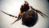  ( - CCDB-12174-B09)  @12 [ ] Copyright  E. Kuzmin 2011 Unspecified