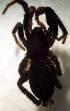  ( - CCDB-12174-C02)  @12 [ ] Copyright  E. Kuzmin 2011 Unspecified