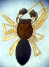  ( - CCDB-13330-A12)  @12 [ ] Copyright  E. Kuzmin 2011 Unspecified