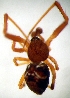 ( - CCDB-12174-F12)  @12 [ ] Copyright  E. Kuzmin 2011 Unspecified