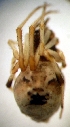  ( - CCDB-12174-G07)  @12 [ ] Copyright  E. Kuzmin 2011 Unspecified