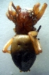  ( - CCDB-13330-B02)  @12 [ ] Copyright  E. Kuzmin 2011 Unspecified