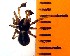  ( - UL-24)  @12 [ ] Unspecified (default): All Rights Reserved  Unspecified Unspecified