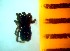  ( - bII-EL-70)  @12 [ ] Unspecified (default): All Rights Reserved  Unspecified Unspecified