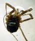  ( - ml22)  @13 [ ] Unspecified (default): All Rights Reserved  Unspecified Unspecified