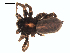  ( - 06-KADIR-D06)  @13 [ ] CreativeCommons - Attribution  Gergin Blagoev, Centre for Biodiversity Genomics Unspecified