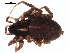  ( - 06-KADIR-D09)  @13 [ ] CreativeCommons - Attribution  Gergin Blagoev, Centre for Biodiversity Genomics Unspecified