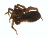  ( - BIOUG00890-A05)  @12 [ ] Copyright  G. Blagoev 2011 Unspecified