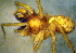  ( - CCDB-10206-B03)  @12 [ ] Copyright  A. Nadolny 2011 Unspecified