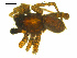 ( - BGSPI-01-A01)  @13 [ ] CreativeCommons - Attribution (2009) Gergin Blagoev, Centre for Biodiversity Genomics Centre for Biodiversity Genomics