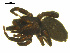  ( - BGSPI-01-A07)  @13 [ ] CreativeCommons - Attribution (2009) Gergin Blagoev, Centre for Biodiversity Genomics Centre for Biodiversity Genomics