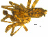  ( - BGSPI-01-A08)  @13 [ ] CreativeCommons - Attribution (2009) Gergin Blagoev, Centre for Biodiversity Genomics Centre for Biodiversity Genomics