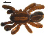  ( - BGSPI-01-C10)  @12 [ ] CreativeCommons - Attribution (2009) Gergin Blagoev, Centre for Biodiversity Genomics Centre for Biodiversity Genomics