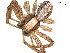  ( - BGSPI-01-H04)  @13 [ ] CreativeCommons - Attribution (2009) Gergin Blagoev, Centre for Biodiversity Genomics Centre for Biodiversity Genomics