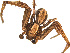  ( - BGSPI-01-H05)  @13 [ ] CreativeCommons - Attribution (2009) Gergin Blagoev, Centre for Biodiversity Genomics Centre for Biodiversity Genomics