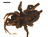  ( - BGSPI-03-A10)  @11 [ ] CreativeCommons - Attribution  Gergin Blagoev, Centre for Biodiversity Genomics Centre for Biodiversity Genomics
