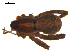  ( - BGSPI-03-B02)  @11 [ ] CreativeCommons - Attribution  Gergin Blagoev, Centre for Biodiversity Genomics Centre for Biodiversity Genomics