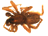  ( - BGSPI-03-B04)  @11 [ ] CreativeCommons - Attribution  Gergin Blagoev, Centre for Biodiversity Genomics Centre for Biodiversity Genomics