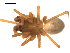  ( - BGSPI-03-D01)  @12 [ ] CreativeCommons - Attribution  Gergin Blagoev, Centre for Biodiversity Genomics Centre for Biodiversity Genomics