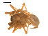  ( - BGSPI-03-D02)  @12 [ ] CreativeCommons - Attribution  Gergin Blagoev, Centre for Biodiversity Genomics Centre for Biodiversity Genomics