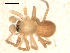  ( - BGSPI-03-D06)  @12 [ ] CreativeCommons - Attribution  Gergin Blagoev, Centre for Biodiversity Genomics Centre for Biodiversity Genomics