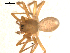  ( - BGSPI-03-D07)  @12 [ ] CreativeCommons - Attribution  Gergin Blagoev, Centre for Biodiversity Genomics Centre for Biodiversity Genomics