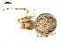  ( - BIOUG00040-E05)  @12 [ ] Copyright  G. Blagoev 2010 Unspecified