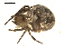  ( - BIOUG00040-E06)  @13 [ ] Copyright  G. Blagoev 2010 Unspecified
