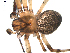  ( - BIOUG00041-C01)  @12 [ ] Copyright  G. Blagoev 2010 Unspecified