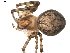  ( - BIOUG00041-C04)  @12 [ ] Copyright  G. Blagoev 2010 Unspecified