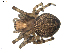  ( - BIOUG00041-C05)  @13 [ ] Copyright  G. Blagoev 2010 Unspecified